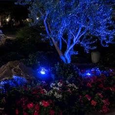 Miniatura 4 de Explux PAR20 Bombillas LED de luz azul de inundación, emisión directa de color LED equivalente a 60 W, impermeable de vidrio completo y