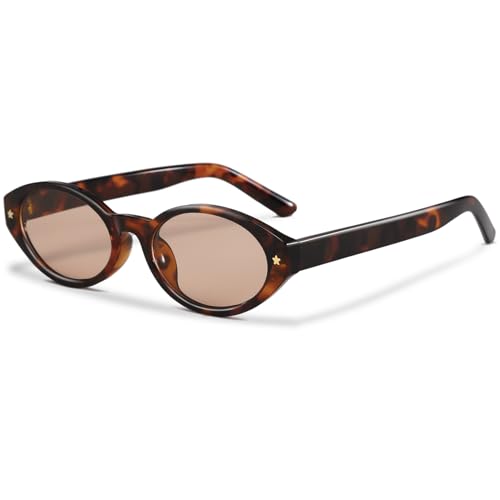 Retro Oval Sunglasses for Women Men Trendy Small Oval Sun Glasses 90s Vintage Shades