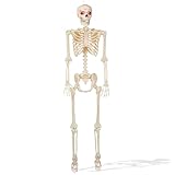 BOO BOX 5' Animated Full Size Skeleton, Halloween Decorations for Outside, Porch or Yard with Light-up Eyes and Speaker