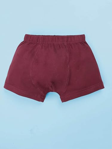 Image of KiddoPanti Boys Boxer Shorts Pack of 3 | Soft Cotton-Lycra Blend | Comfortable Fit with Bio Wash for All-Day Comfort | Kids Briefs