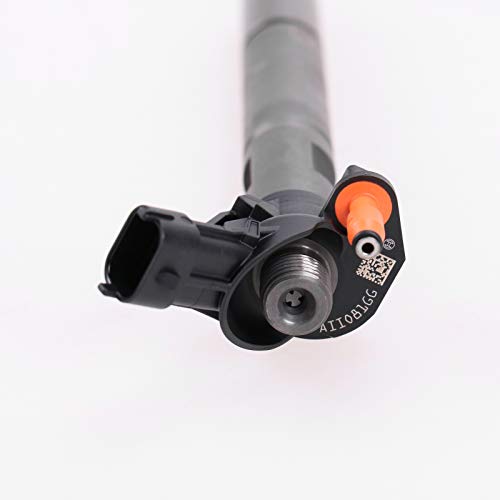 Original einspritzduese NEU 3,0 F1 C E5 5801540211...