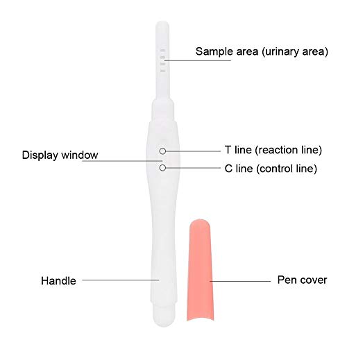 Naroote Zwangerschap Test Pennen, 5 stks Vroege Zwangerschap Tester Pen Home HCG Urine Testing Strip Kit voor Vrouwen… - Image 4
