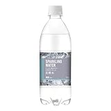 SPARKLING WATER 炭酸水 500ml×24本 ごくごく飲める炭酸水 ペットボトル ケース 500ミリリットル ボトル