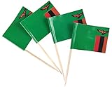 JBCD Zambia Toothpick Flag Zambian Mini Small Cupcake Topper Flags (200 pcs)