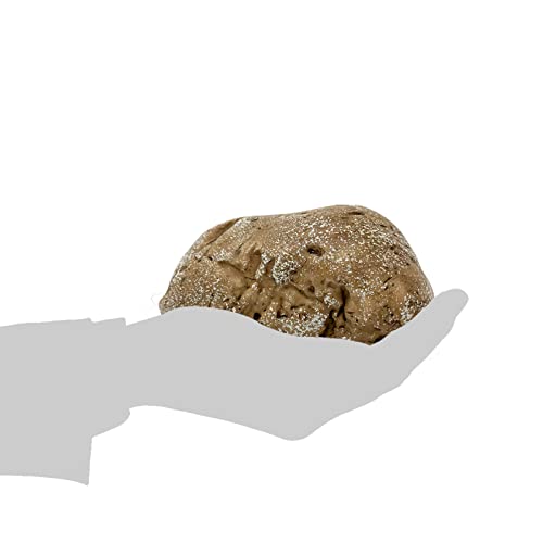 Hide-a-Spare-Key Fake Rock - Looks & Feels Like Real Stone - Safe for Outdoor Garden or Yard, Geocaching (Type-B Brown, 1 Pack) by PANGAEA - Used condition - Image 7
