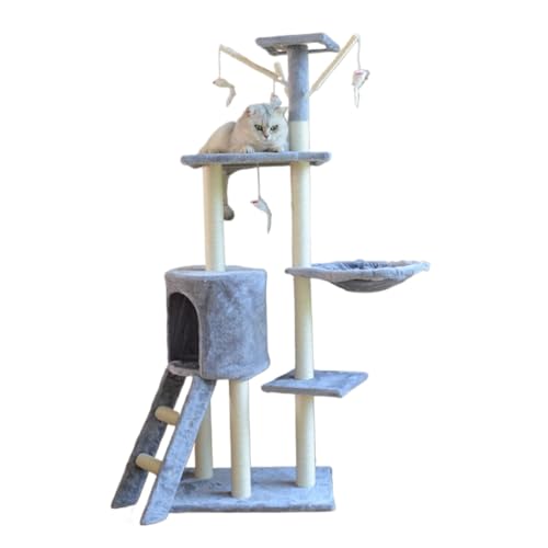 Fiozwea I[TCU̒^LpNC~Ot[B5i̍NC~Ot[BQVяƂĎgǍ^̃c[T|[gtB萫Aɋ@\NC~Ot[łB (B)