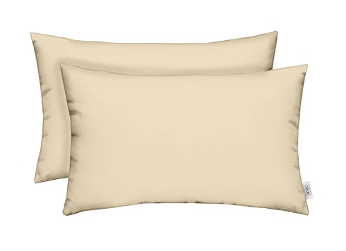 RSH DECOR: Lumbar Throw Pillows Set of 2 | 20” x 12