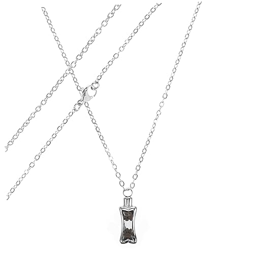 MERRYHAPY ペット納骨ネックレス ペット壷ネックレス ために 犬のネックレス 名前 ドッグアッシュネックレス メタル灰壺ネックレス 鍵掛け飾り キーネックレスの装飾 ステンレス鋼 Silver