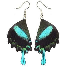 BicBugs Papilio blumei Blue Black hindwing Earrings