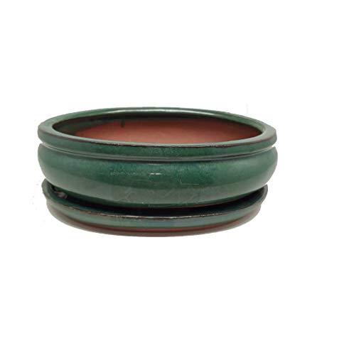 Preisvergleich Produktbild Emaille Bonsai Emaille grün