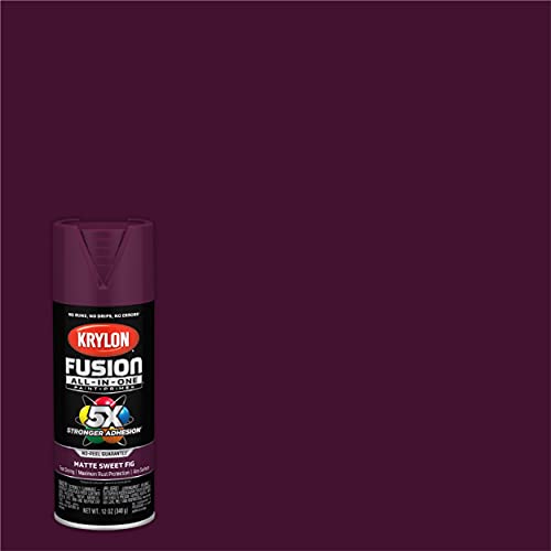 Image of Krylon Fusion All-In-One Adhesive Spray Paint for Indoor /Outdoor Use, 12 oz, Sweet Fig