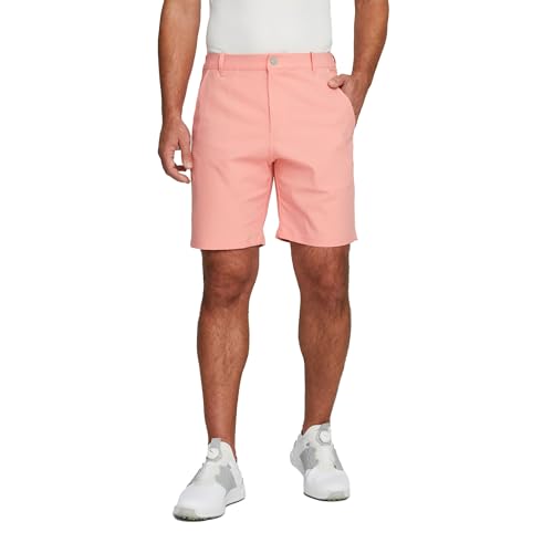 Image of Puma Mens Dealer Short