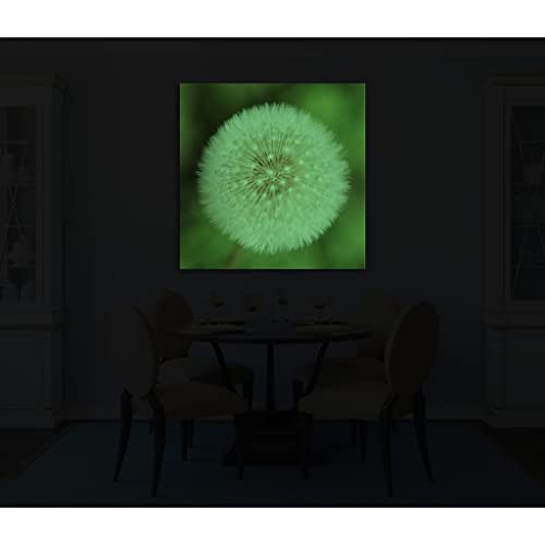 Tableau sur toile fleurs DCF068-1 phosphorescent 80x80cm - 4