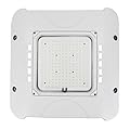 Deojoy 100W LED Canopy Light Fixture,HID/HPS Replacement, LED Shop Light, 5700K, AC100-277V, IP65 Waterproof,Canopy Light Outdoor for Gas Station,Warehouse (100W)