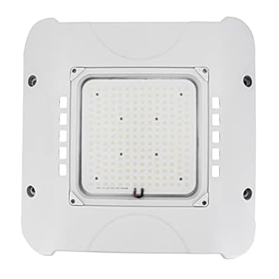Deojoy 100W LED Canopy Light Fixture,HID/HPS Replacement, LED Shop Light, 5700K, AC100-277V, IP65 Waterproof,Canopy Light Outdoor for Gas Station,Warehouse (100W)