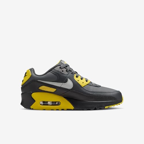 Nike Air Max 90 LTR Big Kids’ Shoes (Lightning/Smoke Grey/Anthracite/Light Silver)3