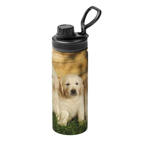  3C̃S[fgo[̎q XeX{g @r 500ml  ۗۉ ^fM X|[c{g e nht ^ Rh~  oR AEghA ʋ ʊw