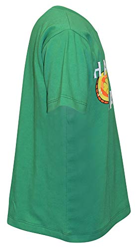 Image of Boys Short Sleeve Funny Graphic Tees for Toddler to Big Kid