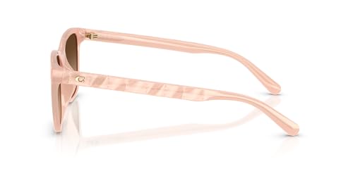 Coach Women's Hc8429d Square Sunglasses3