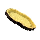 BESTonZON Comedero para Reptiles de Resina Resistente Cuenco para Alimentación de y Tortugas Diseño Duradero y Fácil de Limpiar para Terrarios y Hábitats Pequeños Color Color Aleatorio