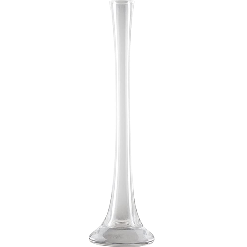 Vase moderne et simple transparent pour valoriser de grandes fleurs séchées
