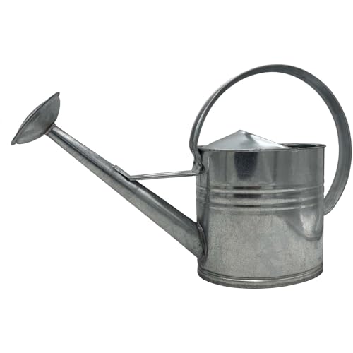 BURI Zinkgießkanne 10 L, Gießkanne feuerverzinkt, langlebige Metallgießkanne für den Innen- und Außenbereich Giesskanne mit Gießbrause Bewässerungssystem