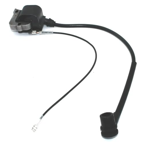 Module d'allumage compatible avec les modèles 268K 272K 3120K 587329401