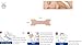 Premium Quality Nasal Strips Improve Air Flow Breathe Clear Relieve Nose Congestion Tan 30 Count