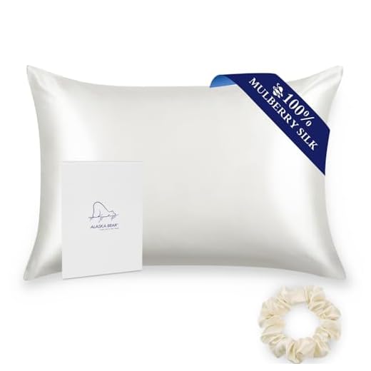 ALASKA BEAR Silk Pillowcase for Hair and Skin, 100% Mulberry Silk Pillow Cases Queen Size for Beauty and Cool Sleep, Scrunchy Gift Set, Natural White(1pc, Ivory)