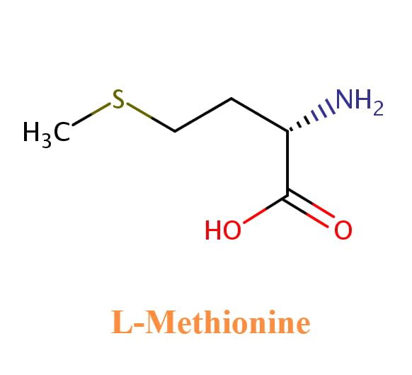 AMINOLAB - L- METHIONINE 1500mg 30 Tablets - Supports Liver Detoxification, Cellular Repair and Metabolic Function - ANTIOXIDANT