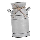 Robuste et : fabriqué en métal galvanisé, ce vase assure durabilité et fiabilité pour votre décoration intérieure, vase galvanisé vintage, pichet porte-fleurs de campagne