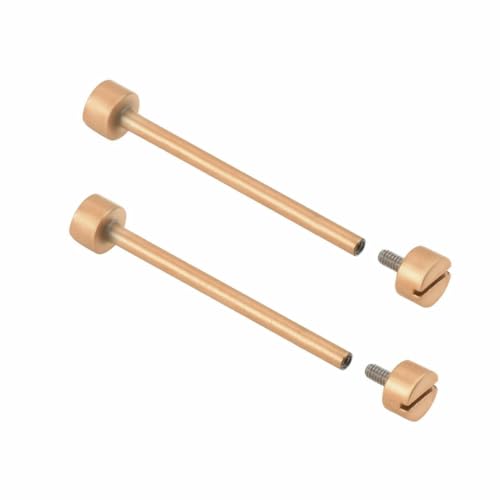 Ewatchparts 2-30mm Replacement Tube & Screw Pin Compatible With Invicta Watch Band Strap Lug Rose Gold