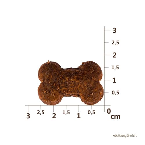 Carnilove Crunchy Snack Wild Boar with Rosehips | 3er Pack | 3 x 200 g | Snack mit Wildschwein und Hagebutte für Hunde | Insbesondere für aktive Hunde | Ohne Zuckerzusatz