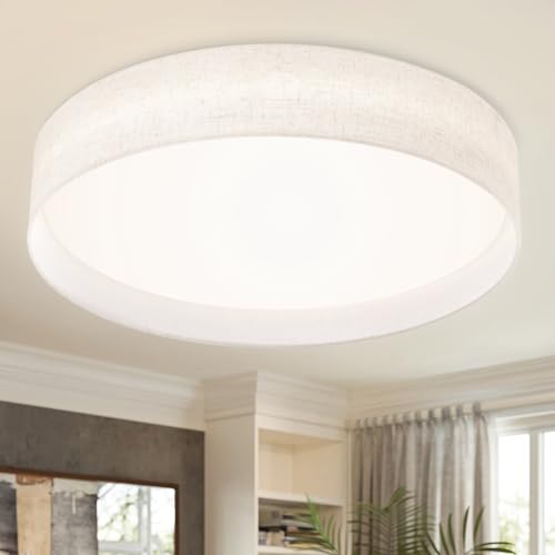 Hamilyeah 20 Inch Flush Mount Ceiling Light