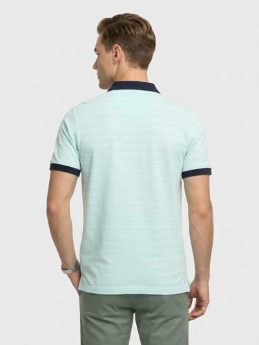 Image of Park Avenue Men Slim Fit Stripe Pattern Pure Cotton Polo Neck Half Sleeve Casual T-Shirt