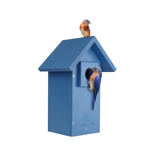 10 Best Recycled Plastic Birdhouses That Birds Will Adore 6 Bluebird Bungalow Recycled Plastic Bird House