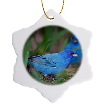 best bird feeders for indigo buntings that attract more birds than ever 2 best bird feeders for indigo buntings