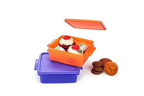 Signoraware Small Container Set, 850ml, Set of 2, Multicolour