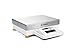 Sartorius MSU20201S-000-D0 Cubis High-Capacity Balance