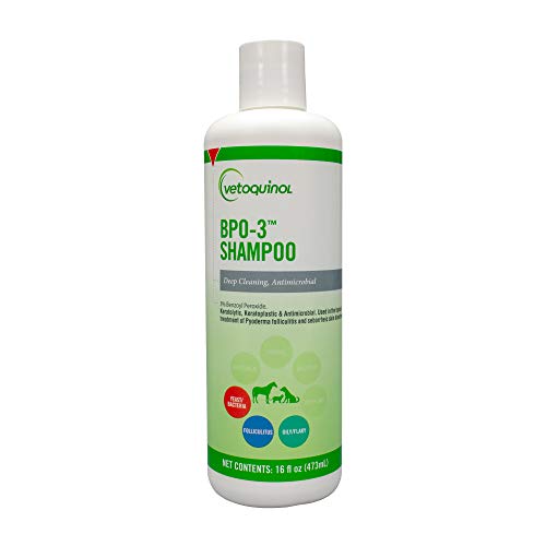 Vetoquinol Bpo3 Shampoo for Dogs Cats  Horses 3 Benzoyl Peroxide  16oz  Deep Cleaning Medicated Shampoo Opens  Flushes Hair Follicles  Degreases Oily Coats  Soothes Red Flaky Itchy Skin  Cucciolini Doodles Vetoquinol bpo 3 shampoo for dogs cats  horses 3 benzoyl peroxide  16oz  deep cleaning medicated shampoo opens  flushes hair follicles  degreases oily coats  soothes red flaky itchy skin   cucciolini doodles