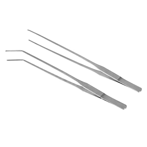 minkissy 2XeXXg[gs J[us pAO A̐A g~OɓKANAEc[