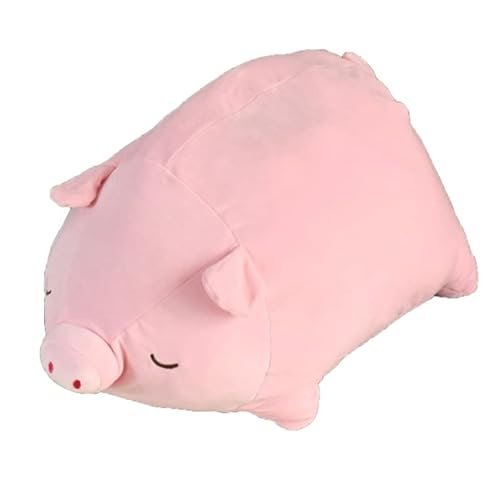 StorePocket NbV 񂱃NbV Ԃ STCY 44x29x20cm sN Aj}   G Xgb`f