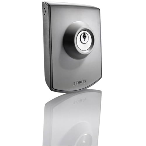 Somfy 2400597 - Commande à clé filaire | Contact à clef pour moteur de portail ou garage | Contact sec