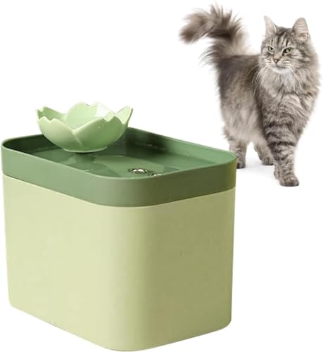 EH[^[tHe ztB^[t TCg LpΉ USBڑ O[