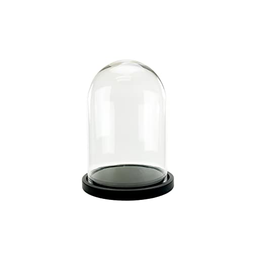 WGV Glass Display Dome Cloche, Diameter 10