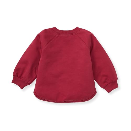 Burt's Bees Baby Baby Shirt and Pant Set, Top & Bottom Outfit Bundle, 100% Organic Cotton2