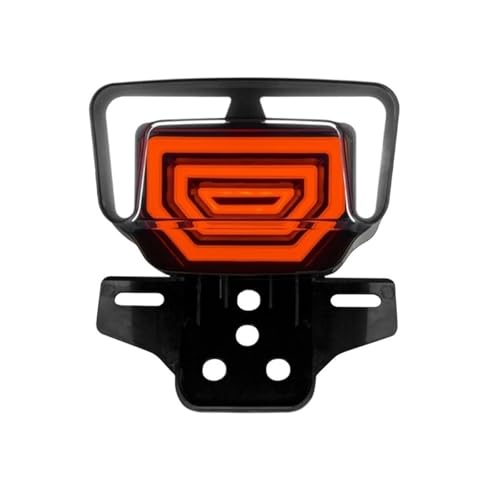 Clignotant de moto arrière LED dynamique pour TMX125 et CG125