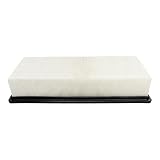CA10071 Engine Air Filter Replacement for Ford F-250 F-350 F-450 F-53 F-550