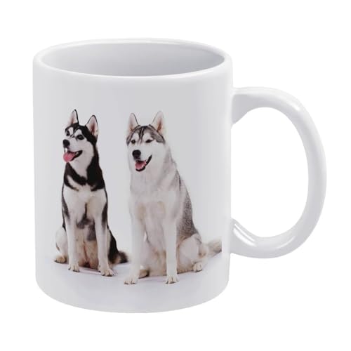 nXL[ 킢  }OJbv   킢 yMtg R[q[Jbv Z~bN Z~bN}OJbv ڈpR[q[Jbv y a v[g 330ml