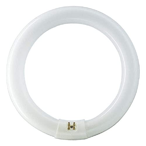 Philips Leuchtstofflampe TL-Mini, G5, Neutralweiß, 8.000-10.000 Std., für Notbeleuchtung, Farbwiedergabeindex: 60, 8W | 62695025